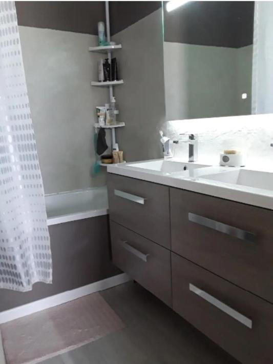 Chambre Chez L'Habitante Avec Salle De Bain Et Cuisine Communes - Presence D'Un Chat Bordeaux Extérieur photo